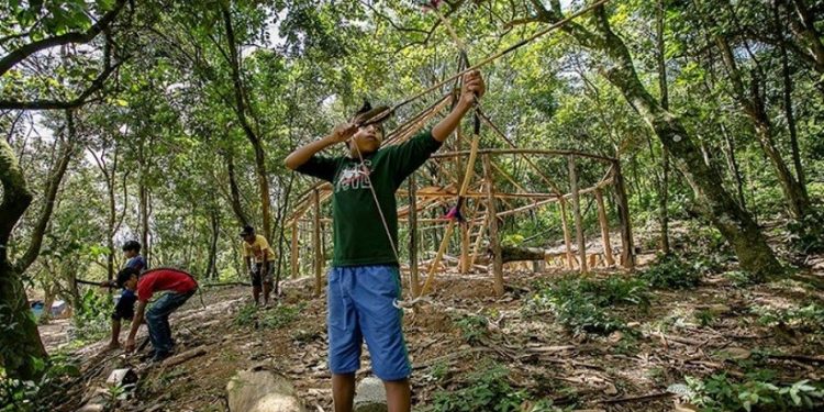 Á área indígena ficou "espremida" entre rodovias de SP - Foto: Reprodução