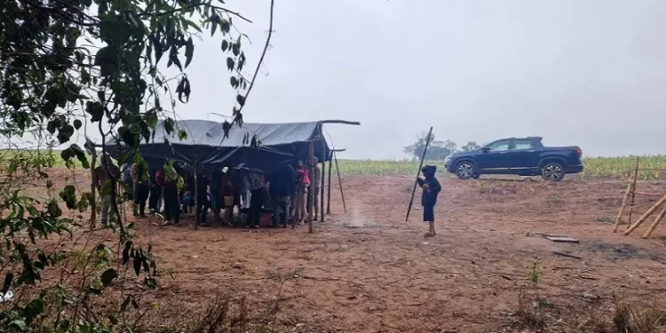 Indígenas Avá Guarani da Terra Indígena Guasu Guavira retomam parte de seu território. Em represália, foram atacados no último sábado (13) por um grupo de fazendeiros. Foto: Arquivo Cimi Sul