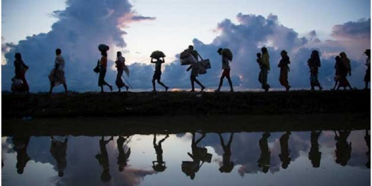 Un grupo de migrantes y refugiados caminan en fila, cargando algunas pertenencias Foto: Acnur