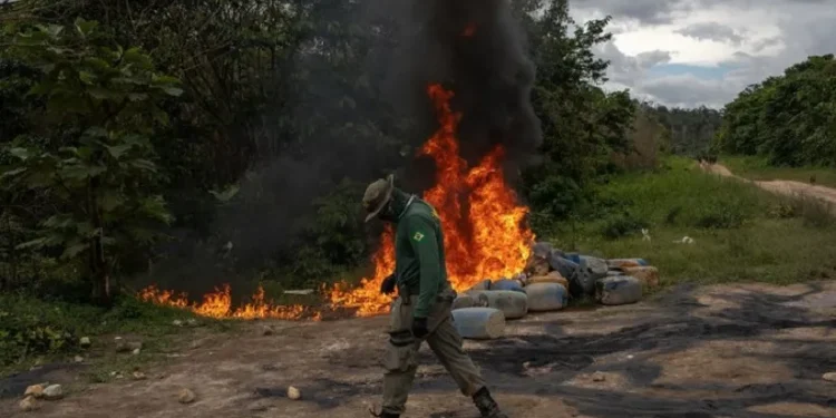 O número de alerta de garimpo na Terra Indígena Yanomami teve queda de 73% no período de janeiro, fevereiro, março e abril de 2024, comparado ao mesmo período em 2023 - Foto: Casa Civil BR