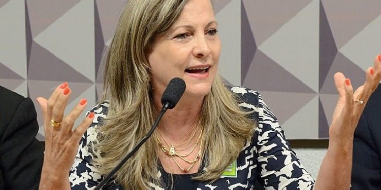 Maria Lucia Fatorelli durante audiência pública no Senado Federal, em Brasília (DF) - Ana Volpe/Agência Senado