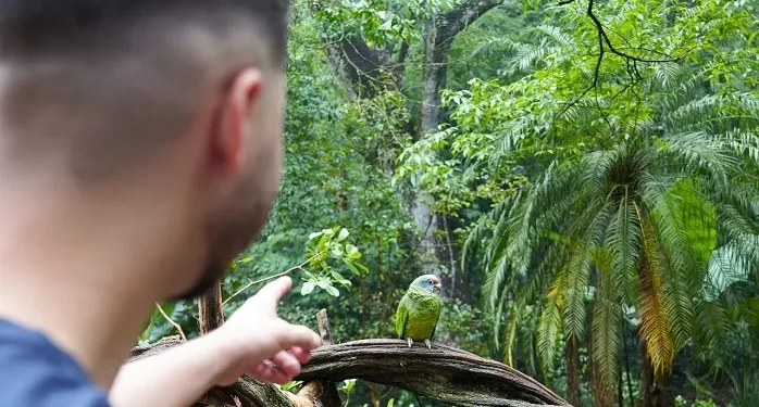 Foto: Divulgação/Parque das Aves