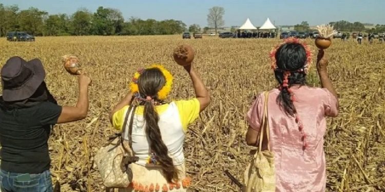 Anciãs Guarani Kaiowá rezam na direção dos capangas armados que ameaçam a comunidade nas retomadas da região de Douradina. Foto: Comunicação da Aty Guasu