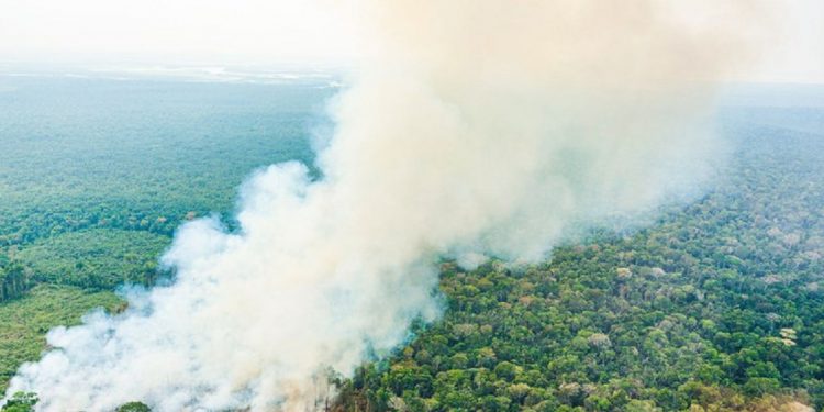 Governo Federal trabalha na ampliação das ações de combate aos incêndios no país - Foto: Ricardo Stuckert / PR