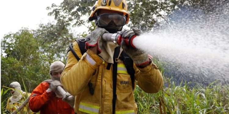 Dos 112 incêndios registrados nas últimas semanas na região do Pantanal, 18 estão ativos, 23 estão controlados e 71 já foram extintos - Foto: Fernando Donasci / MMA