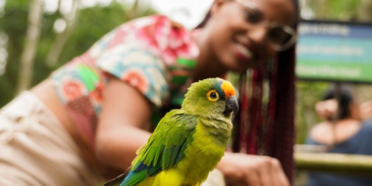 Foto: Divulgação/Parque das Aves